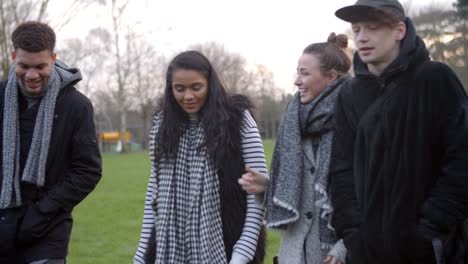 Gruppe-junger-Freunde-zu-Fuß-durch-den-Park-im-Winter