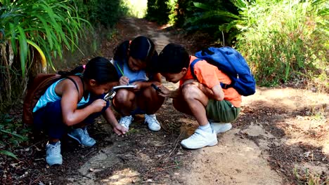 Friends-looking-at-leaf-through-magnifying-glass-in-park