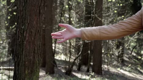 mujer-en-pie-de-auricular-vr-en-el-bosque