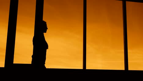 Business-Center.-Panorama-Fenster.-Eine-Frau-geht-ruhig-auf-dem-Flur-des-Bürogebäudes