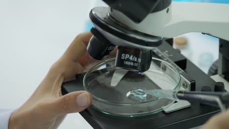 Close-up-of-Researcher-adding-dropping-liquid-to-petri-dish