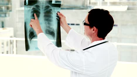 Doctor-analyzing-xray-results