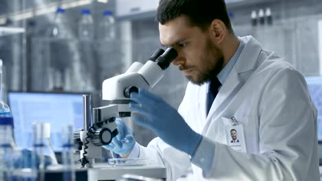 En-un-moderno-laboratorio-asistente-trae-placa-de-Petri-al-jefe-investigador-que-comienza-examinando-dado-muestra-bajo-microscopio.