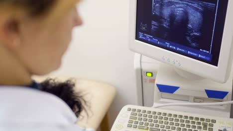 Doctor-looks-at-screen-of-ultrasound-machine