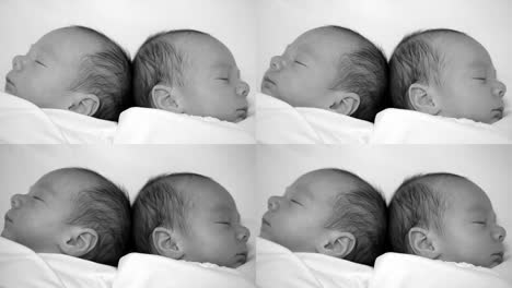 Identical-twin-baby-boys-sleeping-on-white---monochrome