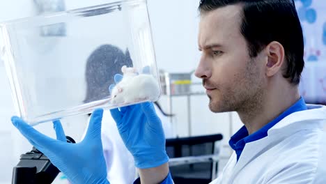 Male-scientist-holding-mace-and-looking-it.-Scientist-works-in-a-laboratory.-4K-Resolution.