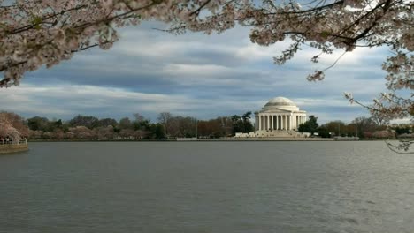 Abend-Schuss-von-Jefferson-Memorial-und-Kirschbäume-in-Blüte