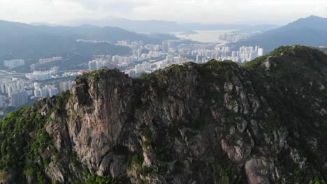 roca-León-en-hong-kong-con-el-fondo-de-la-ciudad