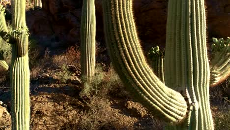 Desert-Mountain-Pass-Drone-Footage---Sunrise-View