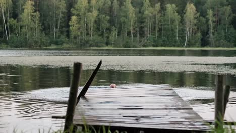 Caucasian-mature-man-jumping-from-wooden-pier-in-lake.