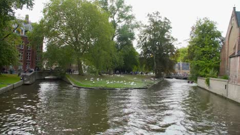 Vista-del-Brujas-de-Bélgica-de-la-ciudad