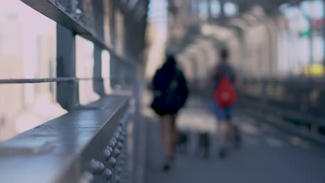 Pareja-caminando-perros-sobre-puente-del-puerto-de-Sydney.