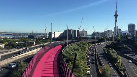 Luftaufnahme-von-Rush-hour-Traffic-auf-Auckland-Central-Autobahn