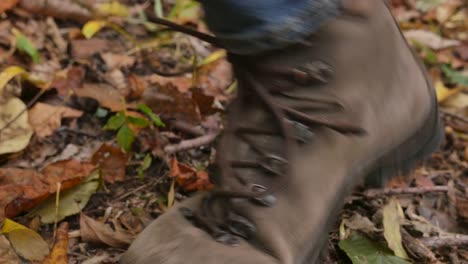 Schieben-Sie-in-einem-Mann-binden-seine-Wanderschuhe-und-dann-zu-Fuß-weg-im-Wald