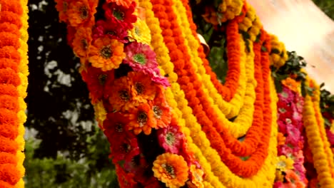 Hanging-Marigolds-in-Kolkata,-India