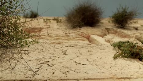 Wailing-Wall-low-angle