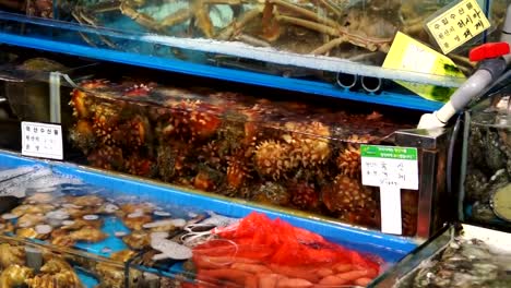 Aquatic-animal-in-showcase-for-sale-at-Noryangjin-Fish-Market