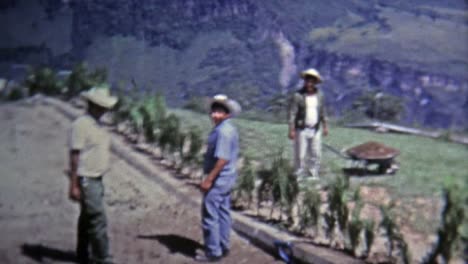 1973:-Farm-parte-de-los-trabajadores-que-más-alta-de-los-campos-de-la-elevación-de-la-terraza.