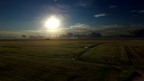 Flying-campo-de-arroz