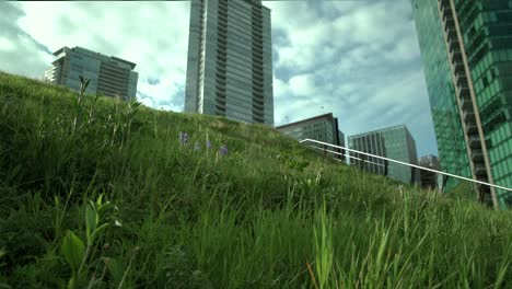 Downtown-Vancouver-Green-Roof -dolly-shot