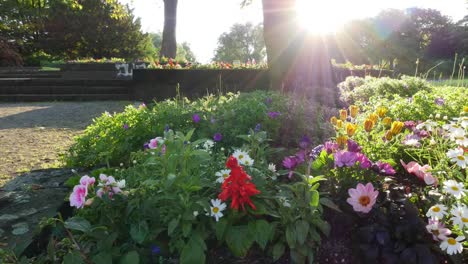 Stadtpark-mit-schönen-Blumen.-Schiebe-Schuss