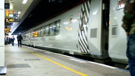 Tren-llega-a-una-plataforma-de-la-estación.