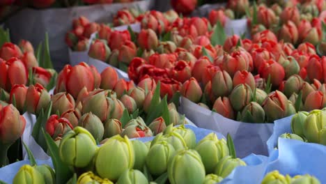 Verkauf-von-verschiedenfarbigen-Tulpen-in-europäischen-Blumenmarkt