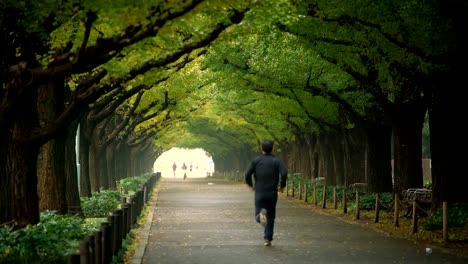 Mann-läuft-für-die-Übung-in-einem-Park-in-Tokio.