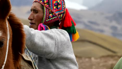 Caballo-de-carga-hombre-quechua.