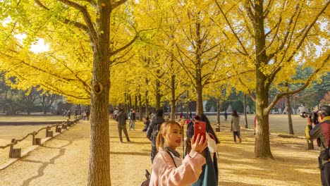 Timelapse-Autumn-of-Nami-island,Tourists-swarming-through-Nami-island-in-Korea
