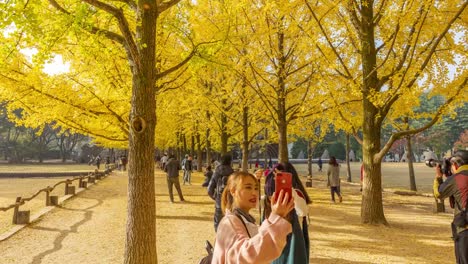 Otoño-de-timelapse-de-la-isla-de-Nami,-turistas-pululando-a-través-de-la-isla-de-Nami-en-Corea