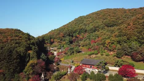 Vista-aérea-otoño-de-estatua-de-Buda-en-templo-de-Wawoo,-Yong-in-Seúl,-Corea