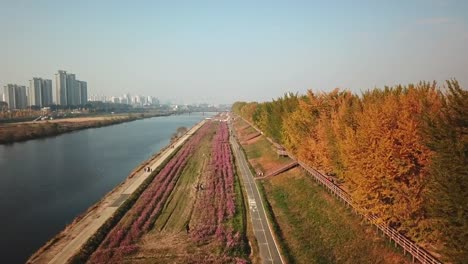 Otoño-de-vista-aérea-de-la-estatua-de-Buda-en-templo,-Seúl-Corea