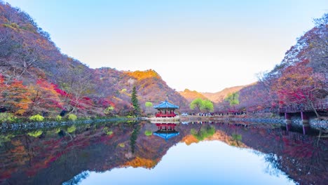 Timelapse-Autumn-forest-of-Naejangsan-National-Park,South-Korea.