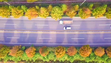 Vista-de-ángulo-alto-el-camino-en-otoño-Corea-del-sur