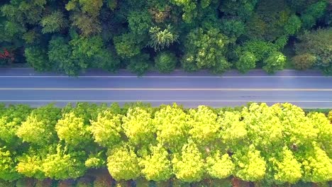 Carretera-de-campo-de-vista-aérea-de-Corea-del-sur-en-otoño