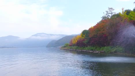 La-isla-de-Nami-en-otoño-Corea-del-sur