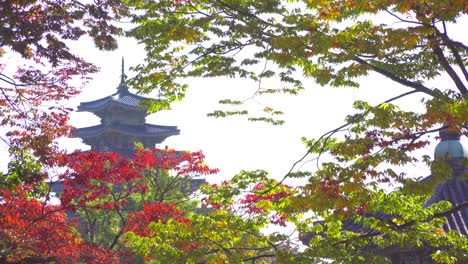 Palacio-de-Gyeongbokgung-en-otoño-de-Corea-del-sur