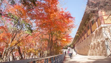 Im-Herbst-farbige-Blätter-Landschaft-Zeitraffer-des-Bulguksa-Tempel-in-Korea