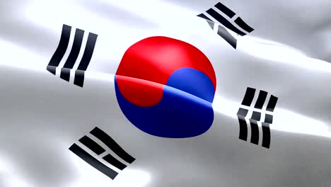 south-korea-flag-waving-texture-fabric-background,-crisis-of-north-and-south-korea,-korean-risk-war