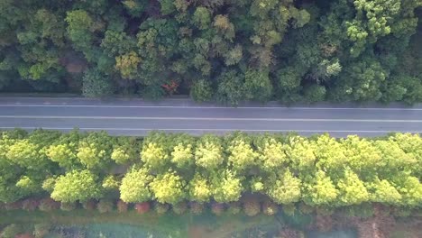 Vista-de-ángulo-alto-el-camino-en-otoño-Corea-del-sur