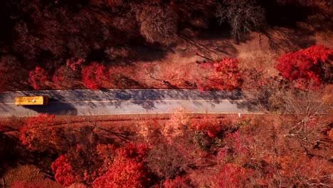 Luftaufnahme-Autofahren-auf-Landstraße-im-herbstlichen-Wald.-Naejangsan-National-Park,-Südkorea.