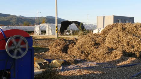 Threshing-soybean-mechanical-method-working-in-asia