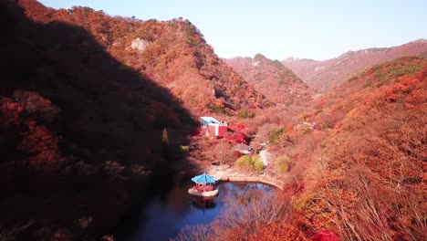 Luftbild-herbstlichen-Wald-der-Naejangsan-National-Park,-Südkorea.