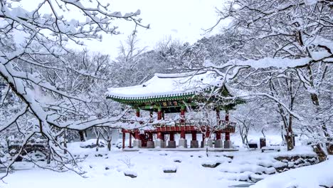 Falling-snow-at-Baekyangsa-temple-in-winter.