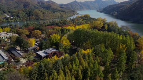 Aerial-view-in-autumn-of-Nami-island,-South-Korea