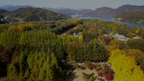 Aerial-view-in-autumn-of-Nami-island,-South-Korea