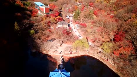 Vista-aérea-otoñal-el-bosque-del-Parque-Nacional-Naejangsan,-Corea-del-sur.