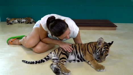 Frau-spielt-mit-Tiger-Cub