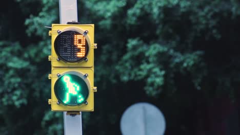 Pedestrian-traffic-light